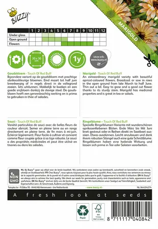 Buzzy® Calendula, Goudsbloem Touch Of Red Buff - afbeelding 2