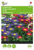 Buzzy® Callistephus, Zomeraster gemengd - afbeelding 1