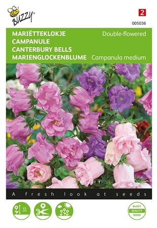 Buzzy® Campanula, Mariëtteklokje dubbelbloemig - afbeelding 1