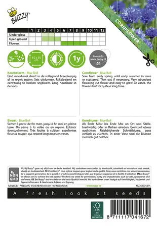 Buzzy® Centaurea, Korenbloem Blue Ball dubbelbloemig - afbeelding 2