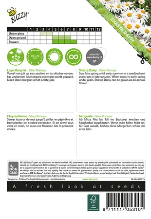 Buzzy® Chrysanthemum, Lage Margriet Silver Princess - afbeelding 2