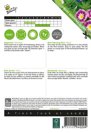 Buzzy® Convolvulus, Dagschone gemengd - afbeelding 2