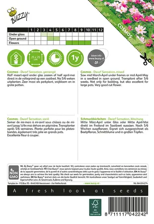 Buzzy® Cosmos, Cosmea Sonata gemengd - afbeelding 2