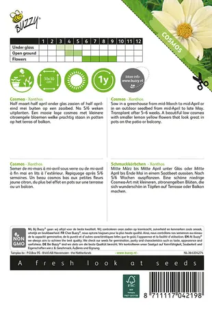 Buzzy® Cosmos, Cosmea Xanthos - afbeelding 2