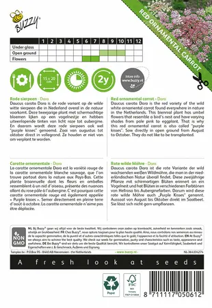 Buzzy® Daucus carota, Rode sierpeen Dara - afbeelding 2