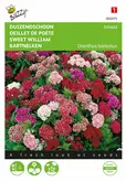 Buzzy® Dianthus, Duizendschoon dubbelbloemig gemengd - afbeelding 1