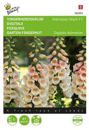 Buzzy® Digitalis, Vingerhoedskruid Dalmation F1 Peach - afbeelding 1