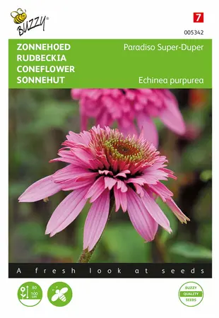 Buzzy® Echinacea, Zonnehoed Paradiso Super-Duper - afbeelding 1