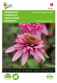 Buzzy® Echinacea, Zonnehoed Paradiso Super-Duper - afbeelding 1