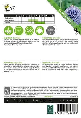 Buzzy® Echinops, Kogeldistel Blue Globe - afbeelding 2