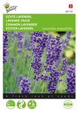 Buzzy® Echte Lavendel - afbeelding 1