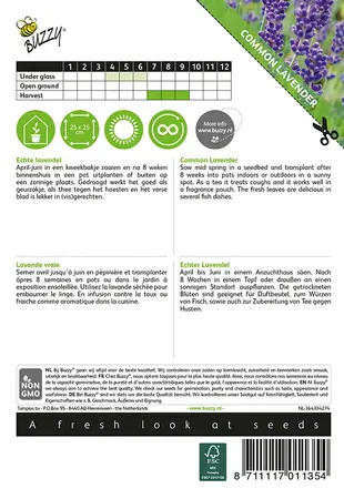 Buzzy® Echte Lavendel - afbeelding 2