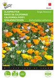 Buzzy® Eschscholzia, Slaapmutsje enkelbloemig gemengd - afbeelding 1