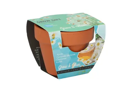 Buzzy® Grow Gifts Kamille