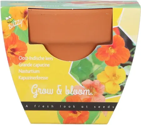 Buzzy® Grow Gifts Oost-Indische Kers 