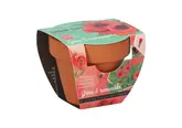 Buzzy® Grow Gifts Papaver