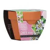 Buzzy® Grow Gifts Passiflora