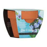 Buzzy® Grow Gifts Vergeet-me-niet