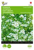 Buzzy® Gypsophila, Gipskruid Covent Garden - afbeelding 1