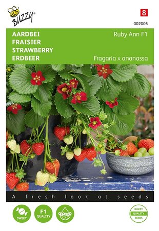 Buzzy® Hangaardbei Ruby Ann F1 roodbloeiend - afbeelding 1