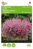 Buzzy® Hangsilene Sibella Carmine - afbeelding 1