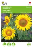 Buzzy® Helianthus, lage zonnebloem Sunspot geel - afbeelding 1