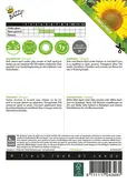 Buzzy® Helianthus, lage zonnebloem Sunspot geel - afbeelding 2