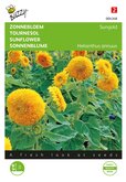 Buzzy® Helianthus, Zonnebloem Sungold dubbelbloemig laag - afbeelding 1