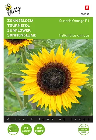 Buzzy® Helianthus, Zonnebloem Sunrich Orange F1 - afbeelding 1