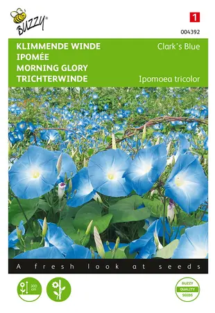 Buzzy® Ipomoea, Klimmende winde Clark’s Blue - afbeelding 1