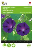 Buzzy® Ipomoea, Klimmende winde Grandpa Ott - afbeelding 1