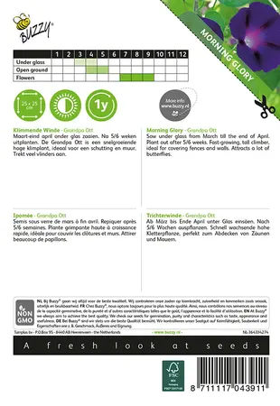 Buzzy® Ipomoea, Klimmende winde Grandpa Ott - afbeelding 2