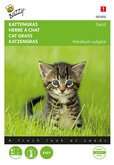 Buzzy® Kattengras Gerst - afbeelding 1