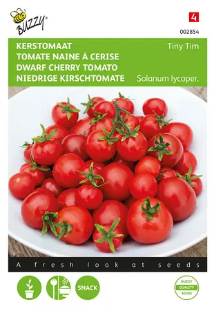 Buzzy® Kerstomaat Tiny Tim - afbeelding 1