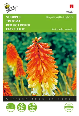 Buzzy® Kniphofia, Vuurpijl Royal Castle Hybrids - afbeelding 1