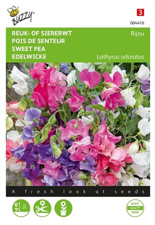 Buzzy® Lathyrus, Reuk- of siererwt Bijou - afbeelding 1