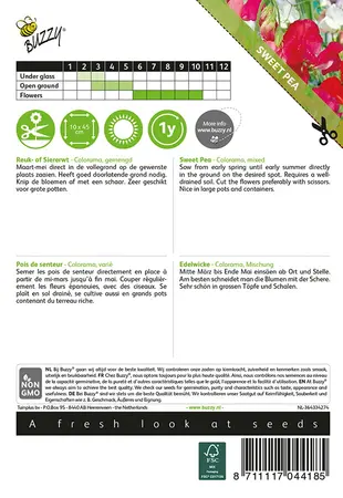 Buzzy® Lathyrus, Reuk- of siererwt Colorama - afbeelding 2