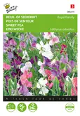 Buzzy® Lathyrus, Reuk- of siererwt Royal Family gemengd - afbeelding 1