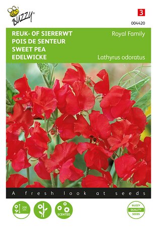 Buzzy® Lathyrus, Reuk- of siererwt Royal Family rood - afbeelding 1