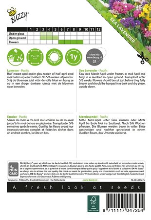 Buzzy® Limonium, Lamsoor Pacific gemengd - afbeelding 2