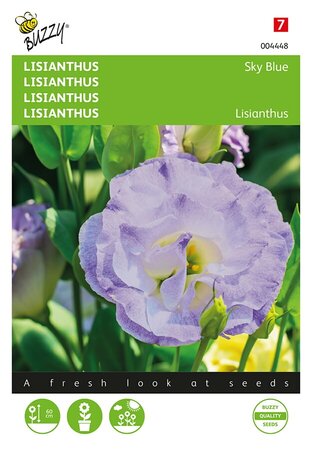 Buzzy® Lisianthus Sky Blue - afbeelding 1