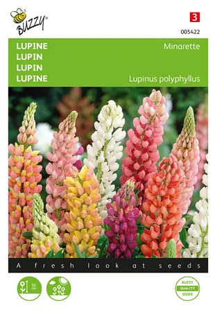 Buzzy® Lupinus, lage Lupine Minarette - afbeelding 1