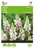 Buzzy® Lupinus, Lupine Pink Fairy - afbeelding 1