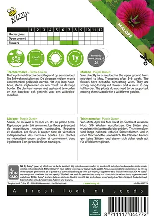 Buzzy® Malope, Trechtermalva Purple Queen - afbeelding 2