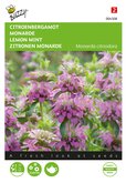 Buzzy® Monarda, Citroenbergamot - afbeelding 1