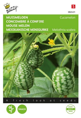 Buzzy® Muismeloen, Cucamelon - afbeelding 1