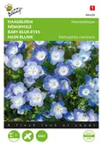 Buzzy® Nemophila, Haagbloem Hemelsblauw - afbeelding 1