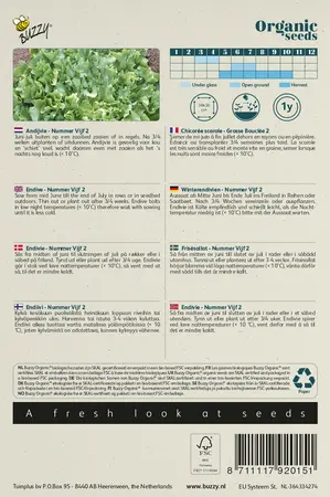 Buzzy® Organic Andijvie Nummer Vijf 2 (BIO) - afbeelding 2