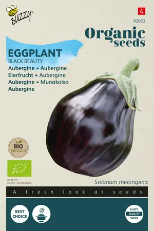 Buzzy® Organic Aubergine Black Beauty (BIO) - afbeelding 1