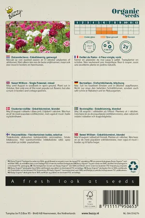 Buzzy® Organic Dianthus, Duizendschoon mix (BIO) - afbeelding 2